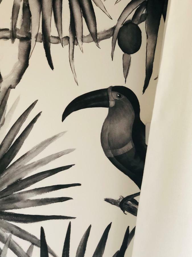 Hotel Pelican 舍尔谢 外观 照片